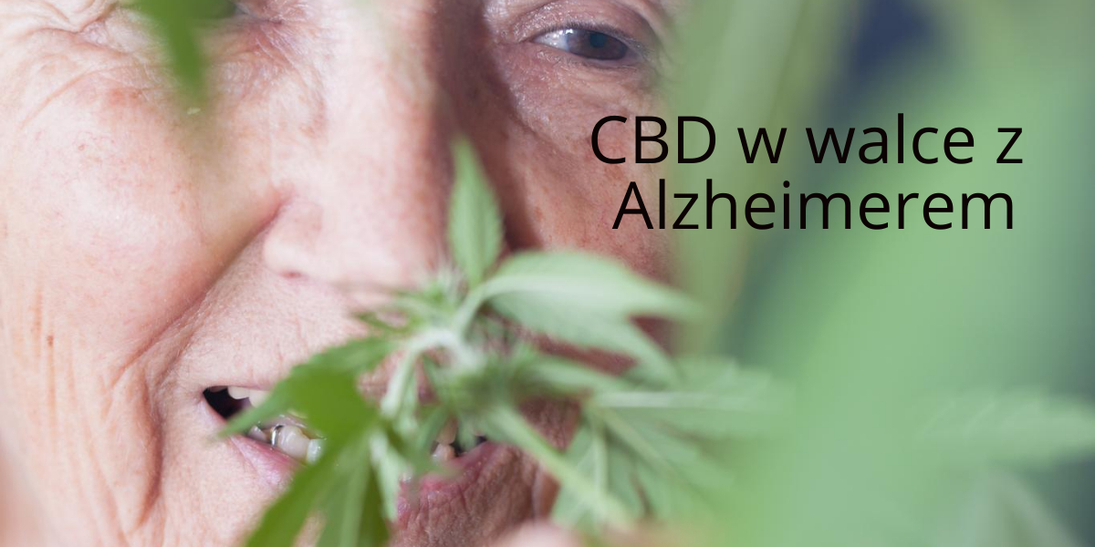 Olejek CBD w walce z Alzheimerem