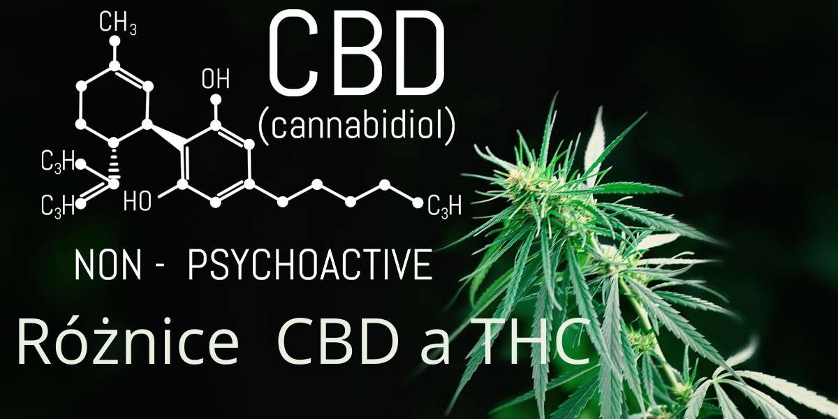 Różnice CBD a THC